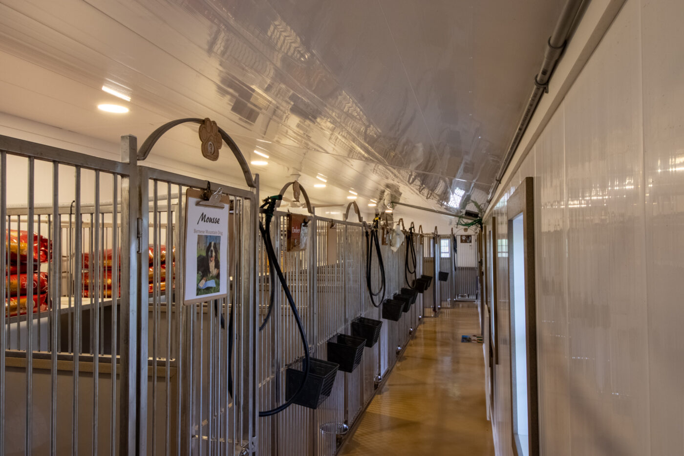 Interior of Portable Dog Kennels