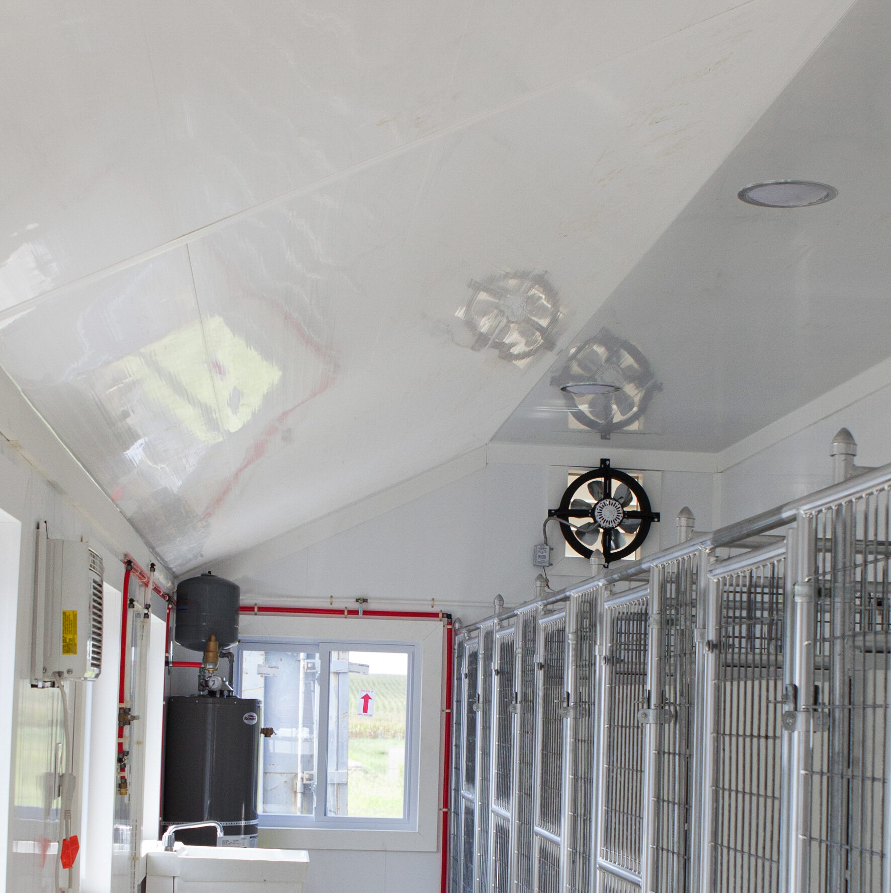Kennels for Working Dogs with Cathedral Ceiling