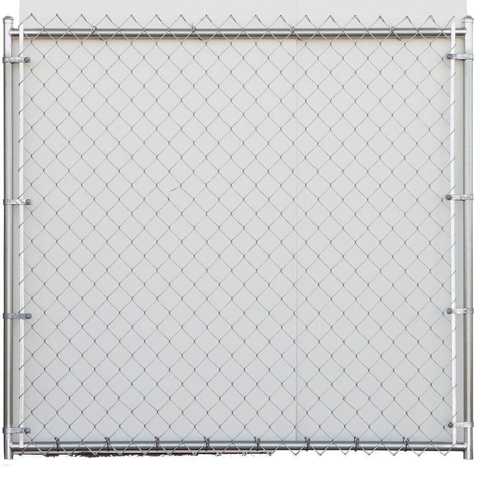 Veterinary Dog Kennels with Chain Link Fencing