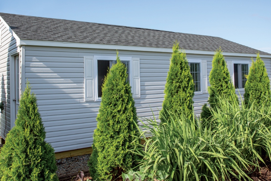 back side of commercial dog kennel lined by trees and bushes
