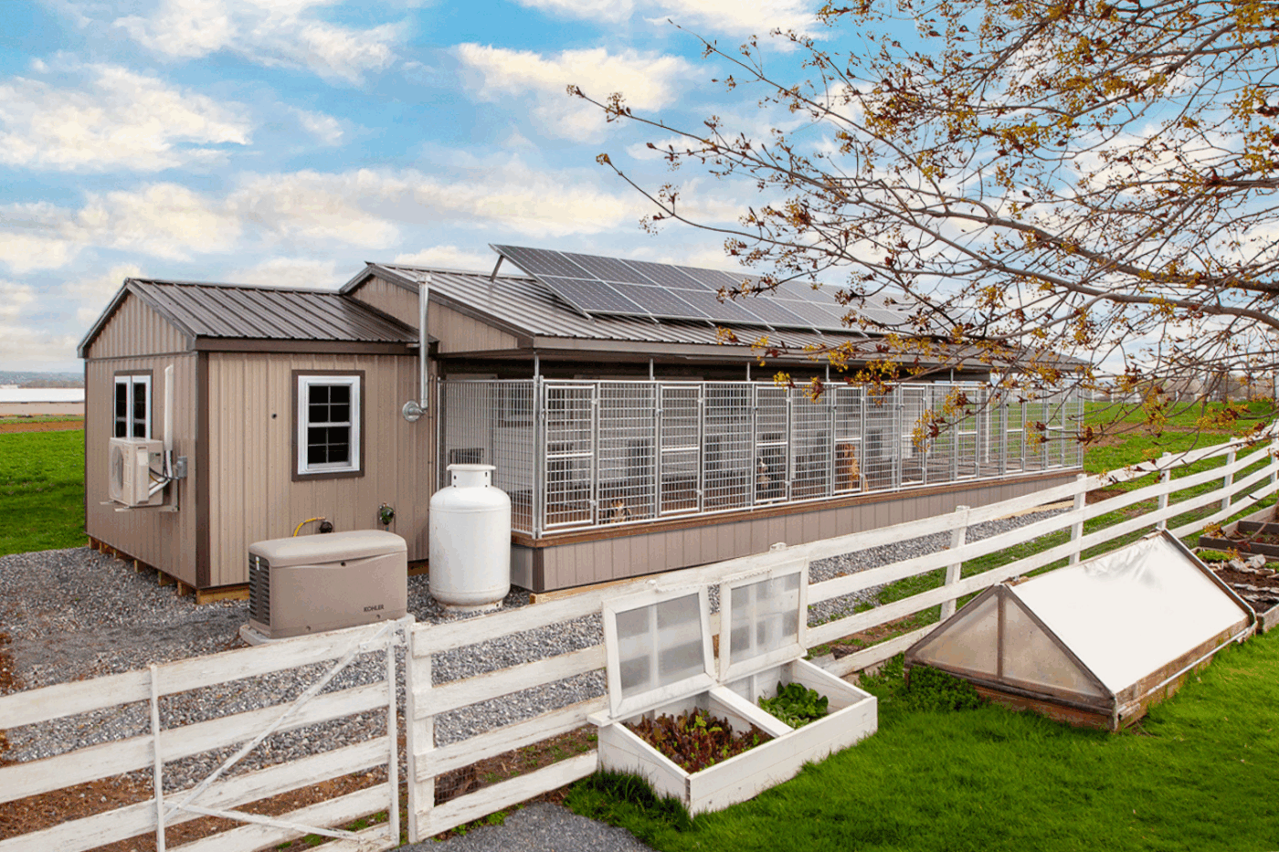 beige commercial dog kennel in north carolina with solar panels