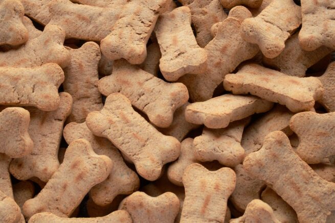 Homemade crunchy dog treats best sale