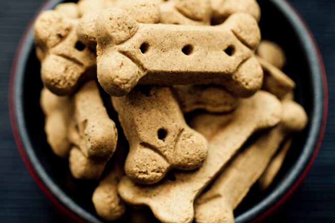 Make healthy dog treats best sale