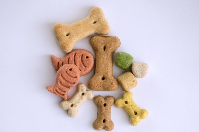 20 Homemade Dog Treat Recipes Spoil Your Dog with Healthy Treats