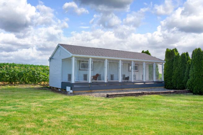 dog kennels for sale in albany ny
