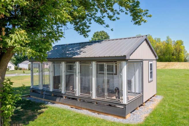 dog kennels for sale in florida- kennels by number of dogs