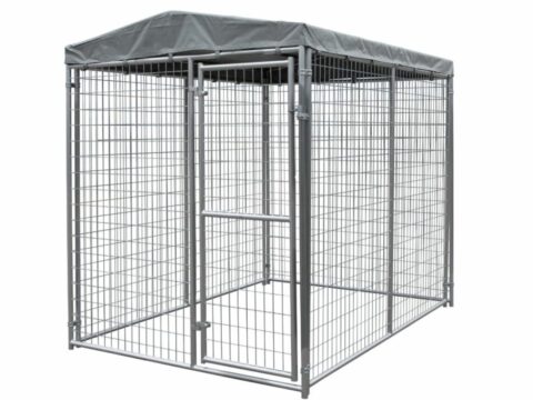 2024 Outdoor Dog Kennel and Runs Keeping Your Dogs Safe