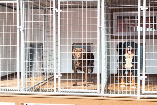 Breeder Dog Kennels for Sale in Reno NV