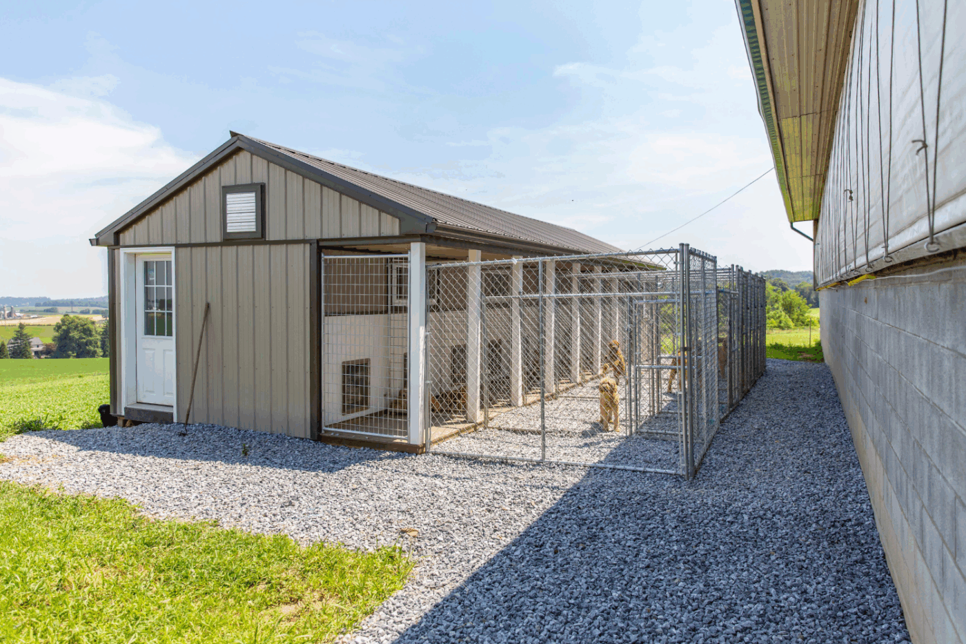 commercial dog kennel with runs in north carolina