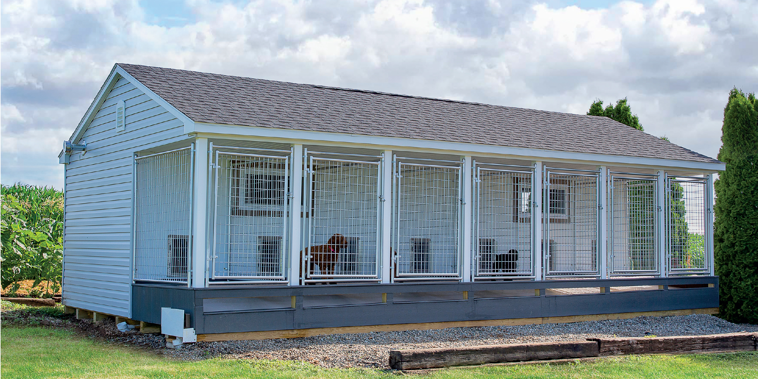 commercial 14x28 dog kennels front
