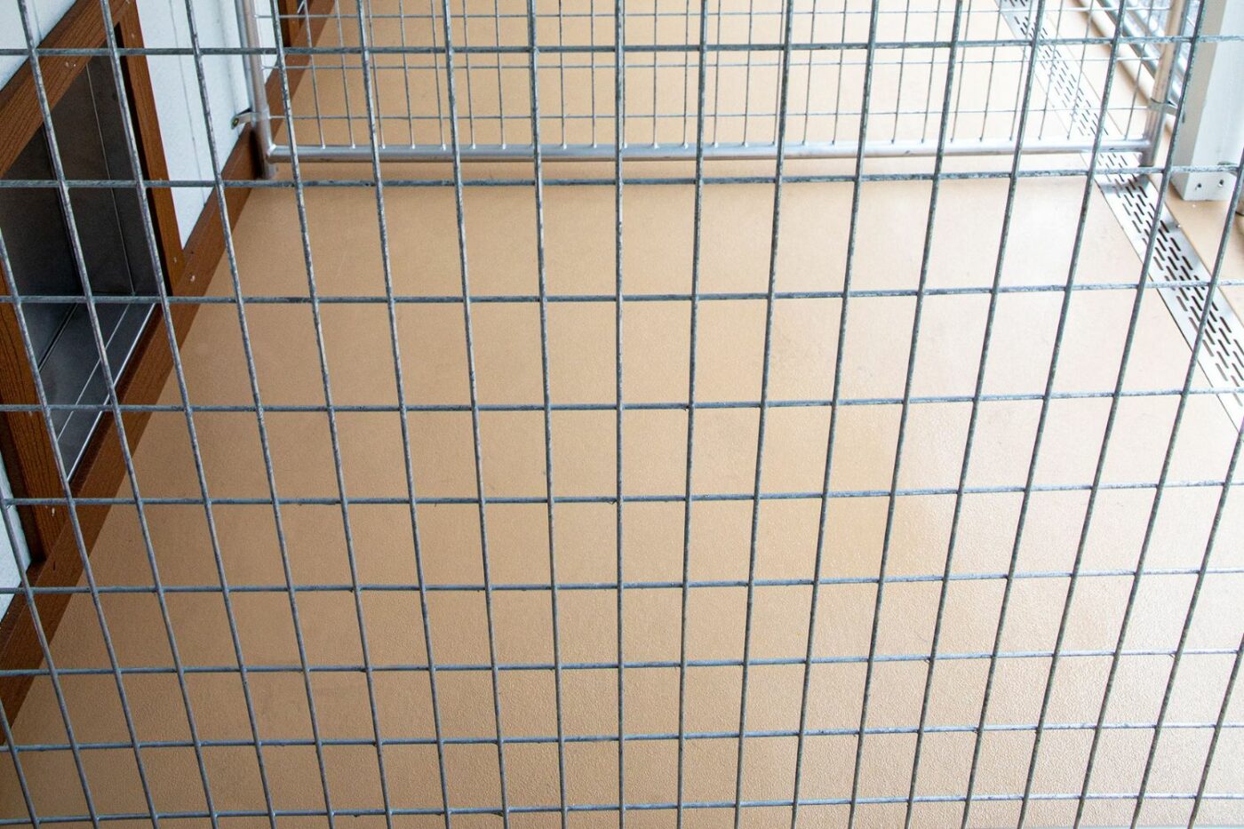 dog kennel flooring ideas (7)