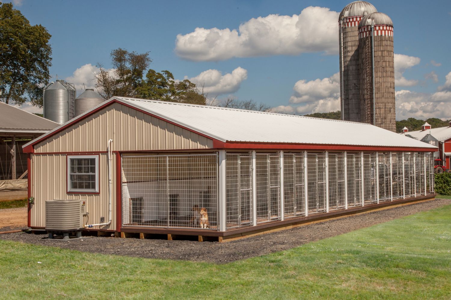 dog kennels for sale in middletown de