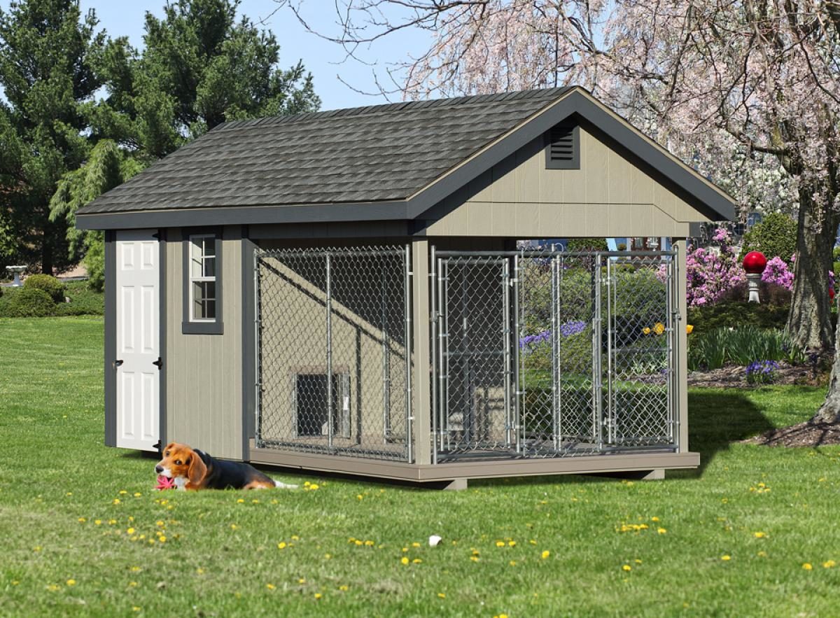 kennels for dogs