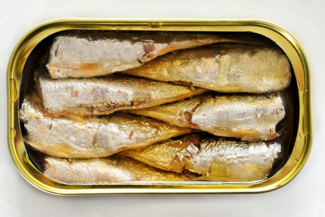 sardine dog treat recipe