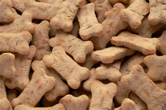 Peanut Butter Pumpkin Dog Treats - Spoiled Hounds