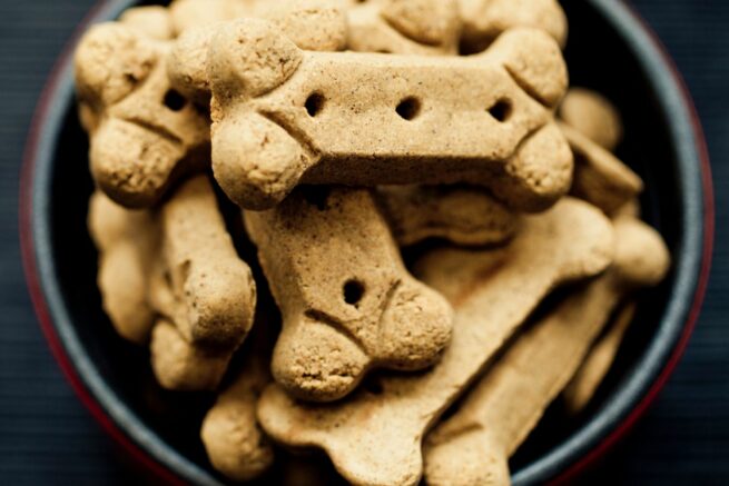 Soft Peanut Butter Carrot Dog Treats - Sally's Baking Addiction