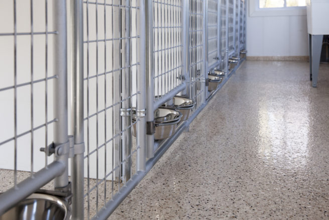 dog kennels for shelters showing feeder bowls on inside