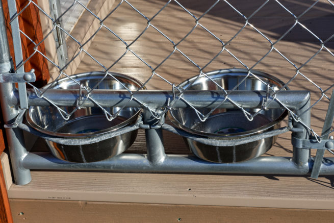 dog kennels for shelters stainless steel feeder bowls dog kennel option