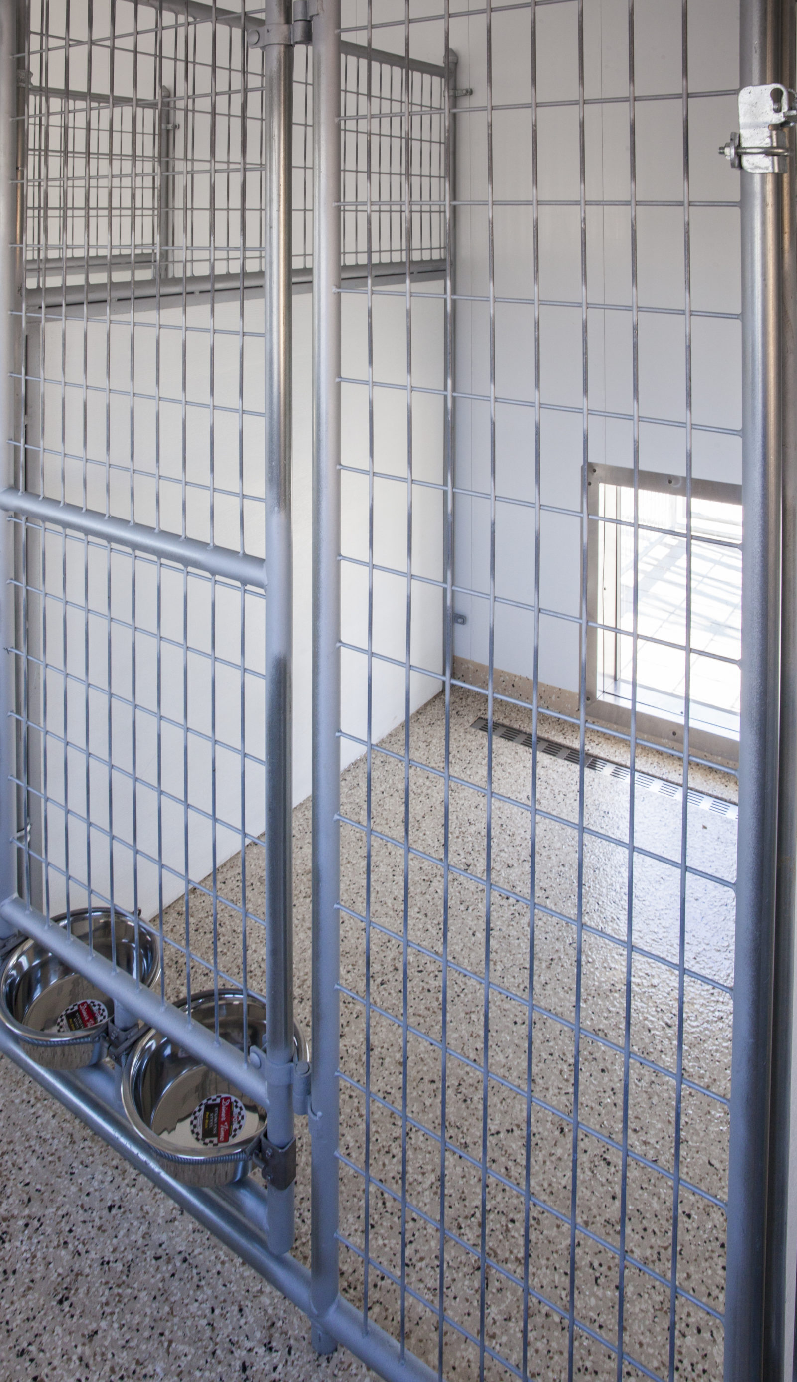 dog kennels for vets interior view (1)