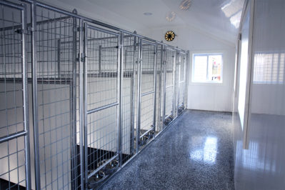 20x28 dog kennel boxes