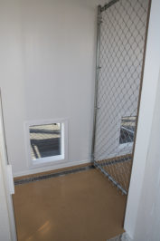 10x16 dog kennel interior