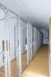 12x32 dog kennel