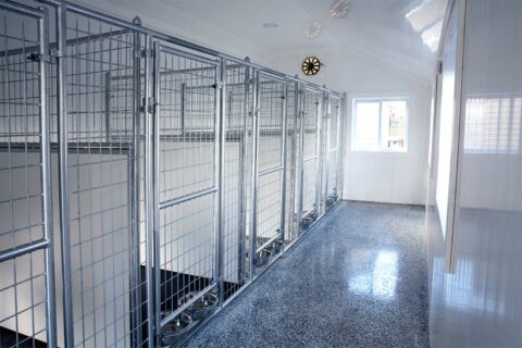 dog kennels in burlington nc- dog kennels