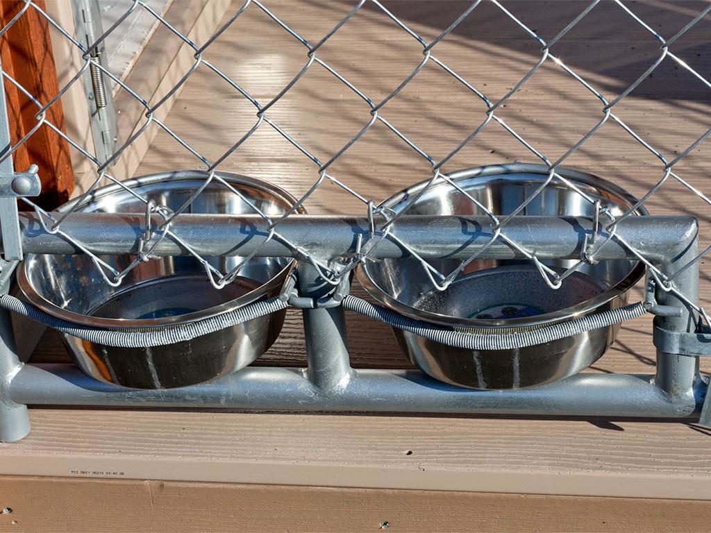 stainless steel feeder bowls dog kennel options