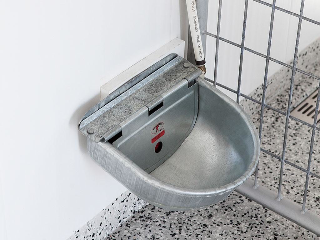 stainless steel automatic water bowl dog kennel options