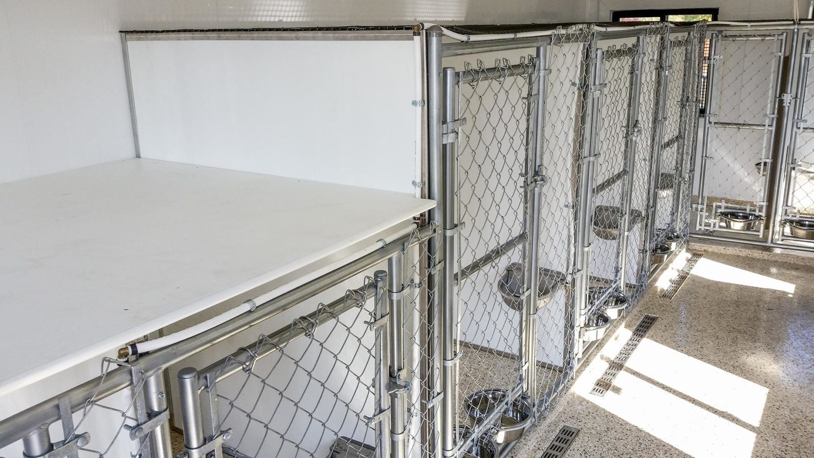 choose a kennel that's easy to clean