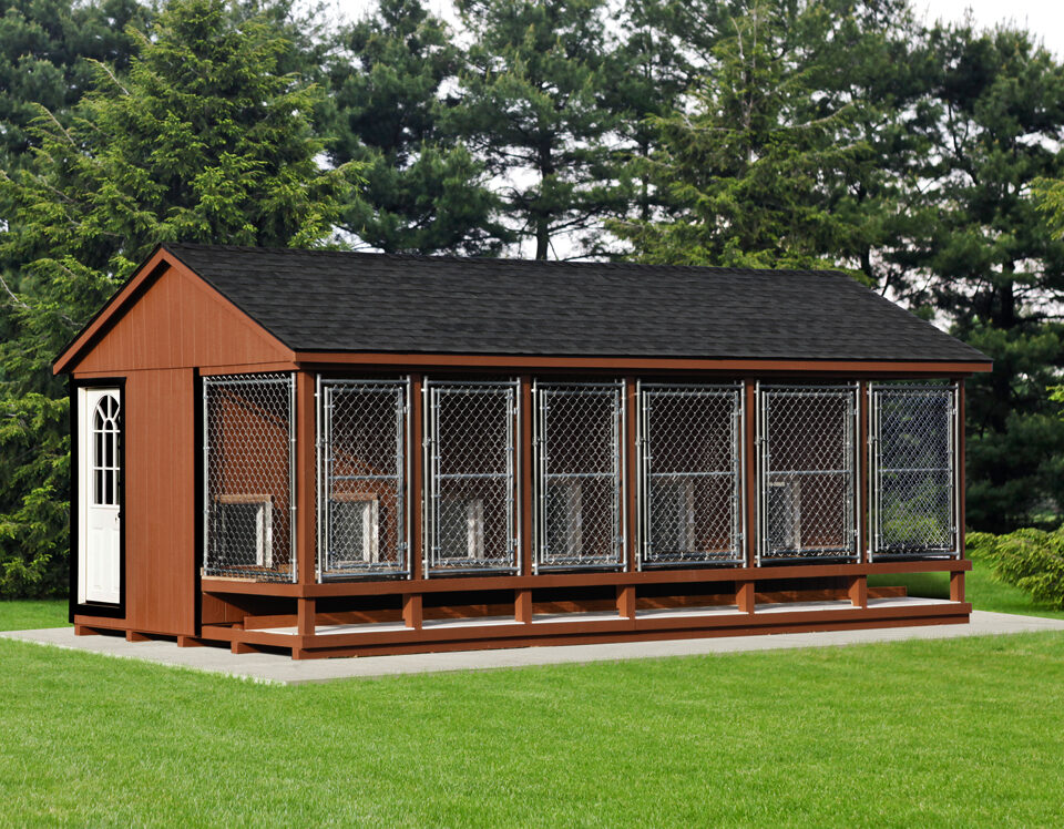 how big should a dog kennel be for your business