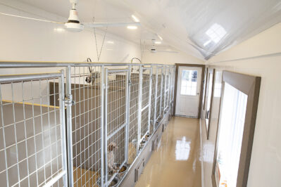 14x24 dog kennel interior 1