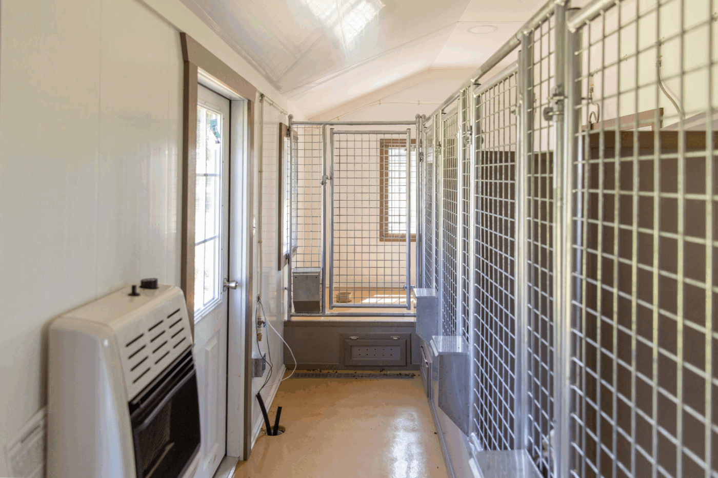 inside of commercial dog kennel with runs in north carolina