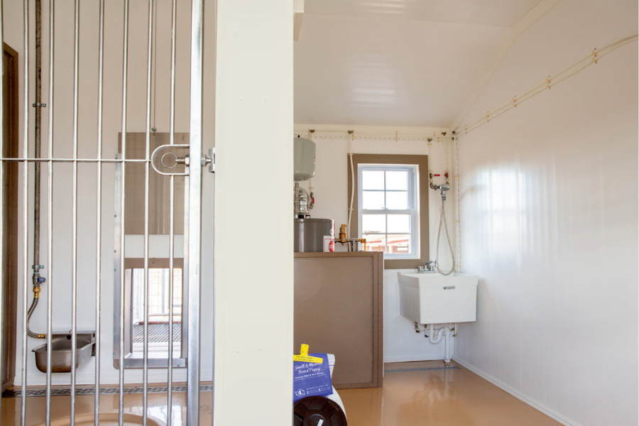 interior of commercial dog kennel with sink
