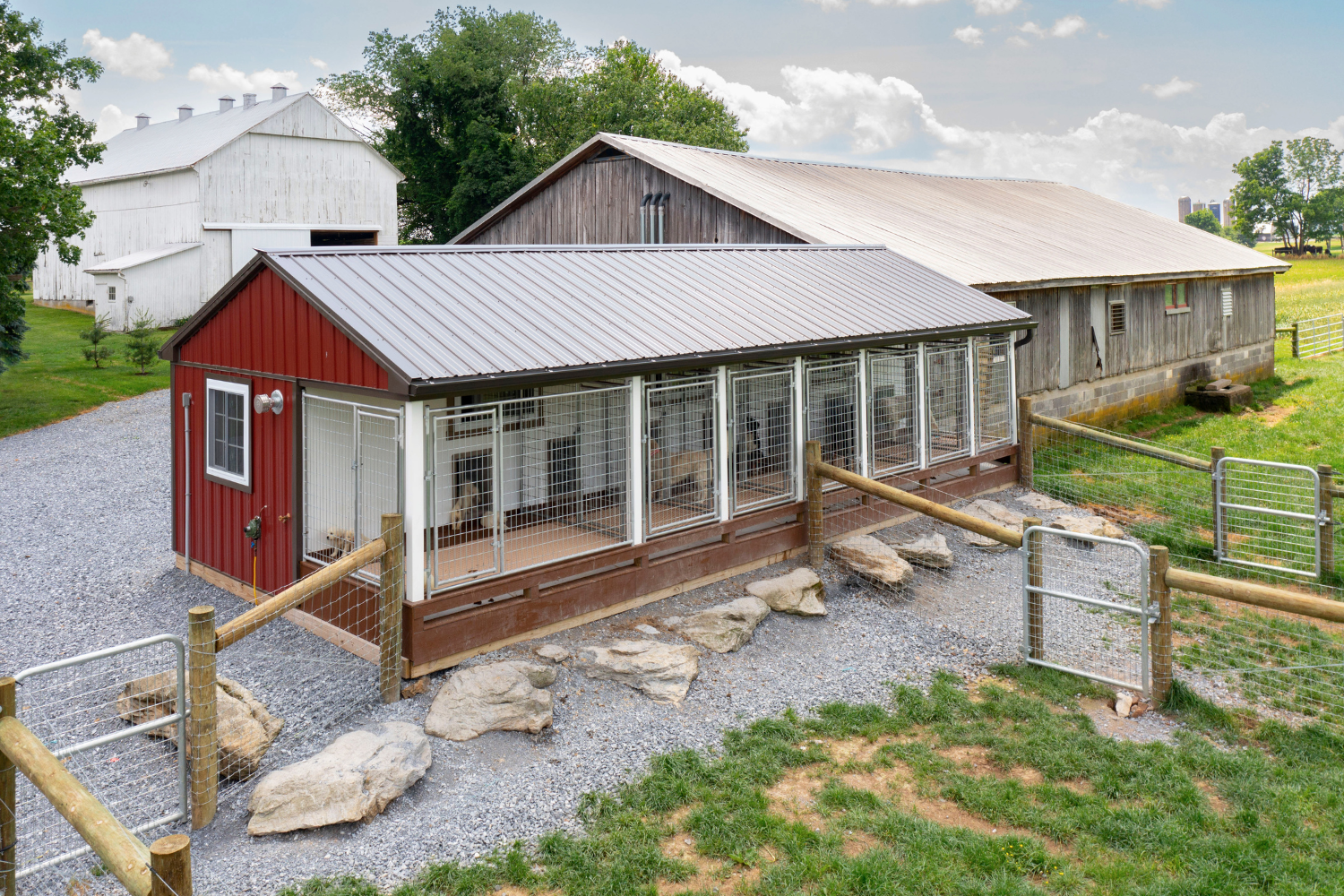 red commercial dog kennel with dogs inside in north carolina