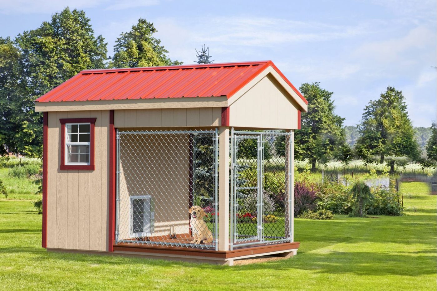 outdoor dog kennels for your home