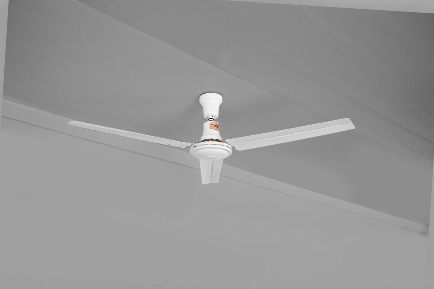 ceiling fan - dog kennel ventilation options